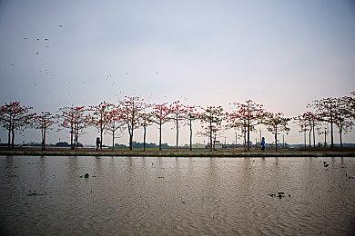《黑神话：悟空》蜘蛛精妆容火了 女主播疯狂COS蜘蛛精